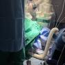 Quirófano equipado con tecnología de cirugía robótica avanzada